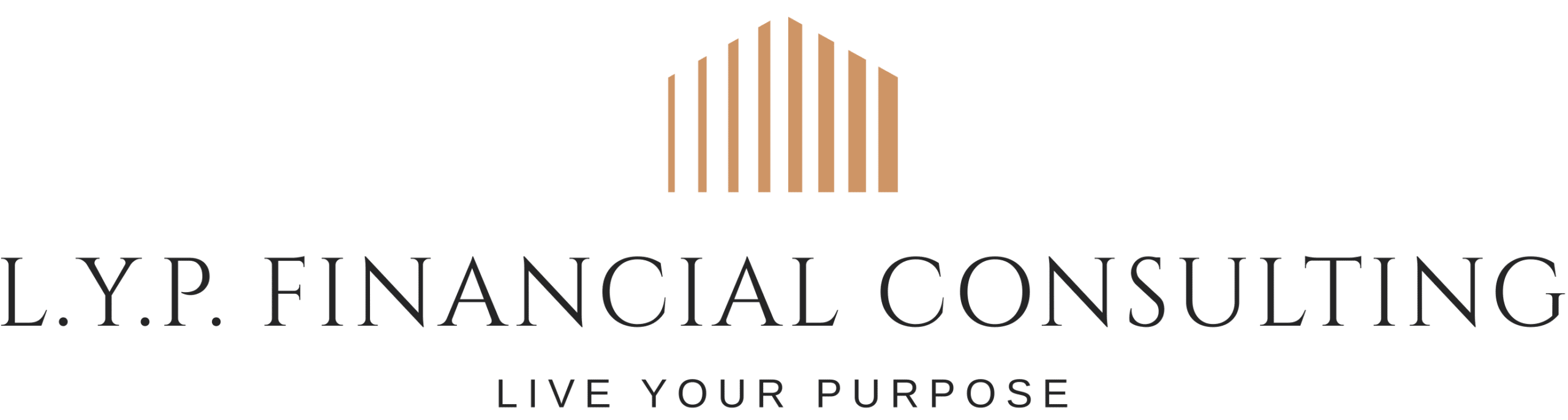 LYP Financial Consulting LLC
